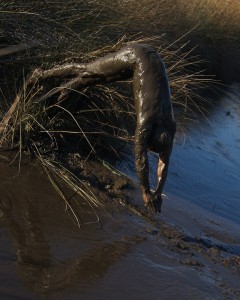 man diving, head first, into swamp mud