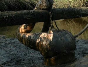 man inverted in mud, held by genitals
