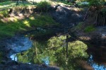 drought stricken pond