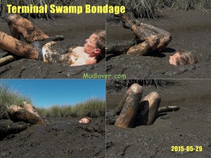 2015-05-29_swamp1200x900