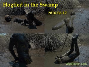 2016-06-12_swamp1_1200x900