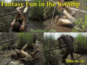 2016-06-16_swamp1200x900