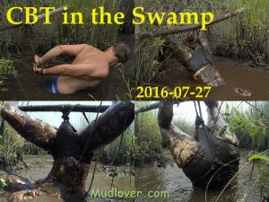 2016-07-27_swamp_cbt1200x900