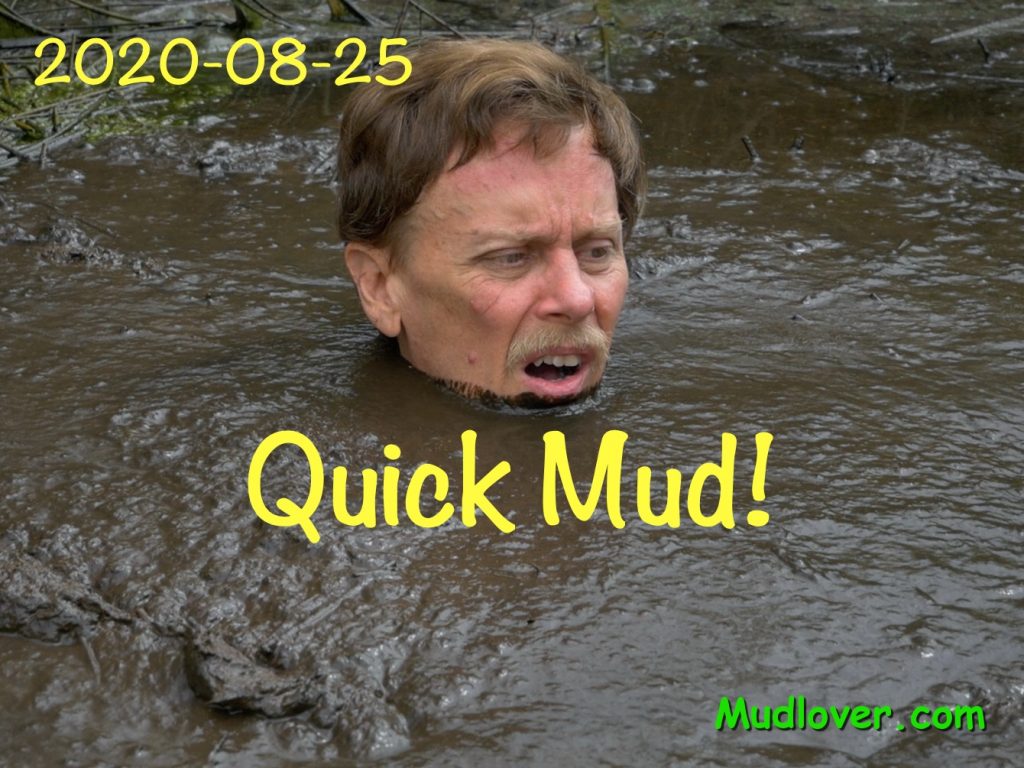 new-quick-mud-clip-the-swamp